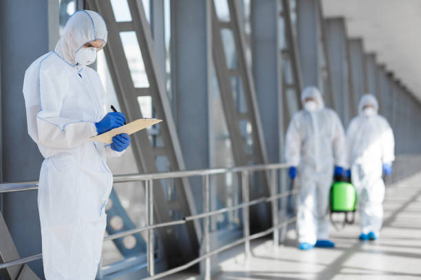 Best Attic Mold Removal  in Bertsch Oceanview, CA