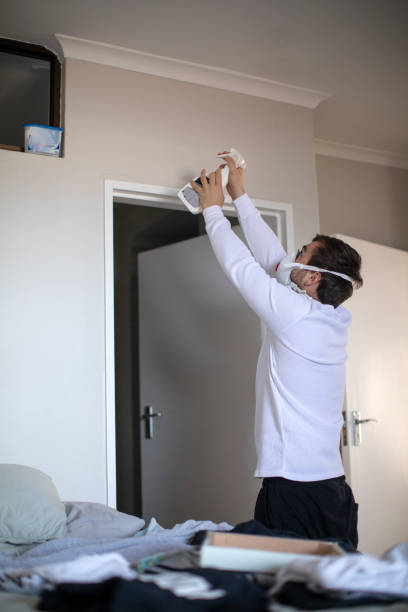 Best Comprehensive Air Testing for Mold Contaminants  in Bertsch Oceanview, CA