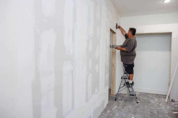 Best Mold Prevention Services  in Bertsch Oceanview, CA