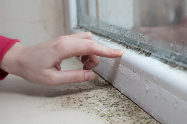 Mold Documentation for Insurance Claims in Bertsch Oceanview, CA