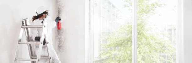Best Emergency Mold Remediation  in Bertsch Oceanview, CA