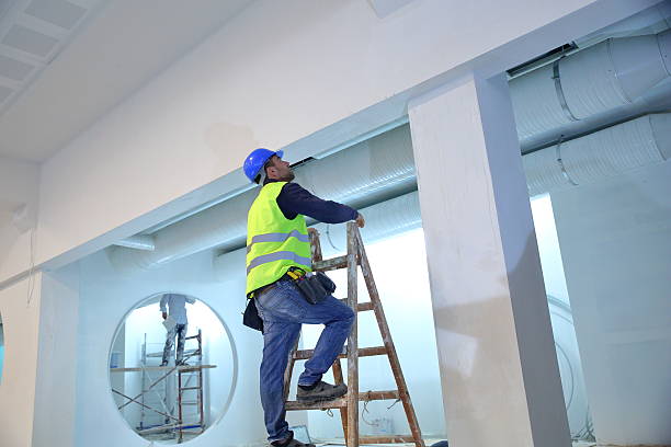 Professional Mold Removal in Bertsch Oceanview, CA