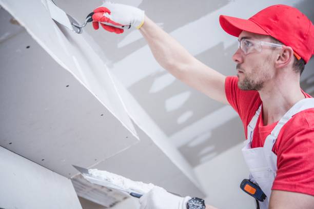 Mold Remediation for Vacation Homes in Bertsch Oceanview, CA