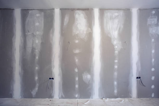 Best Mold-Related Health Consultation  in Bertsch Oceanview, CA